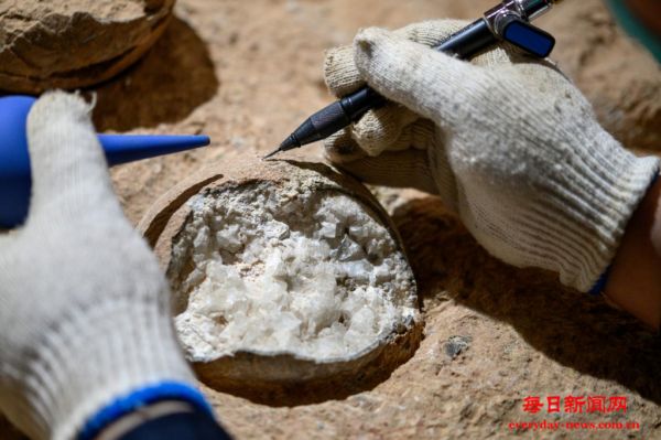 约8600万年前的恐龙蛋有了“出生证明”