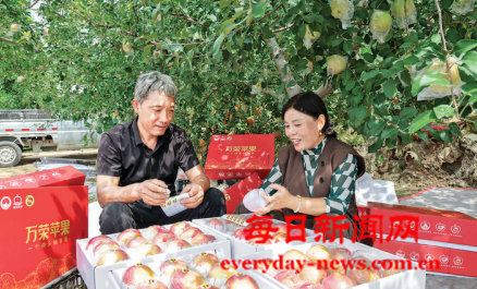 案22222222222.png