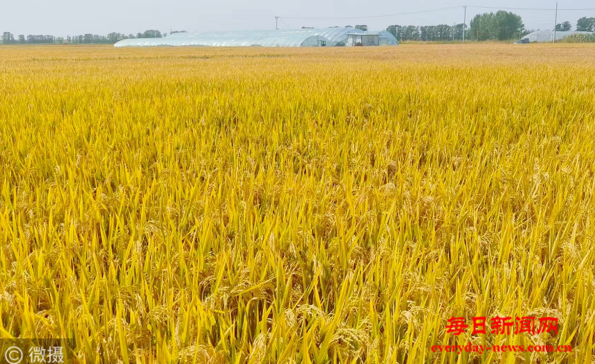 去77777777777777.png 去77777777777777.png