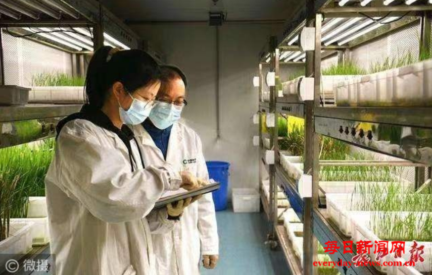 去1用这个.png 去1用这个.png