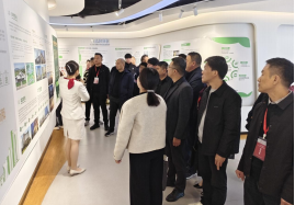 做33333333333.png 做33333333333.png