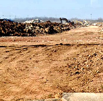 青44444444444.png 青44444444444.png