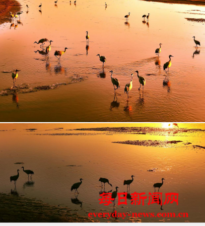 案444555.png 案444555.png