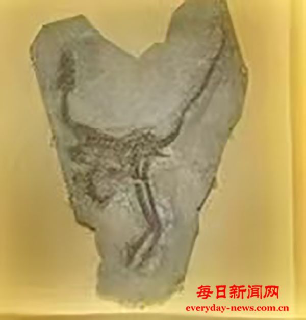 01.jpg