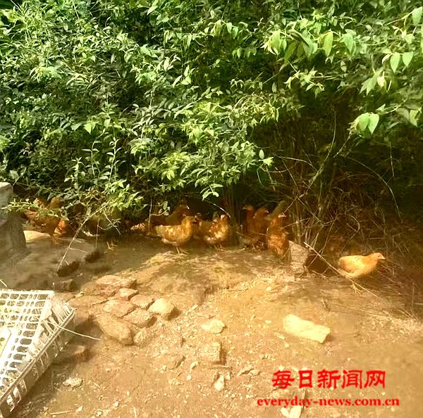 全球1111111111111111.jpg