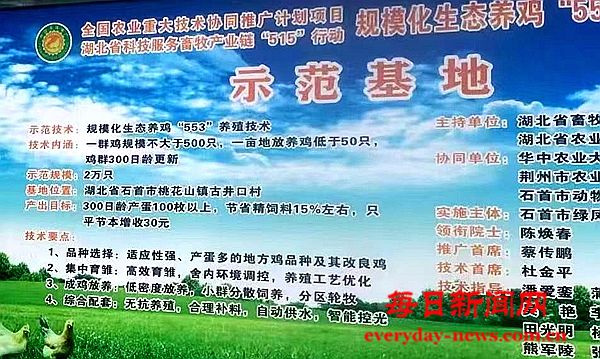 全球22222222222222.jpg